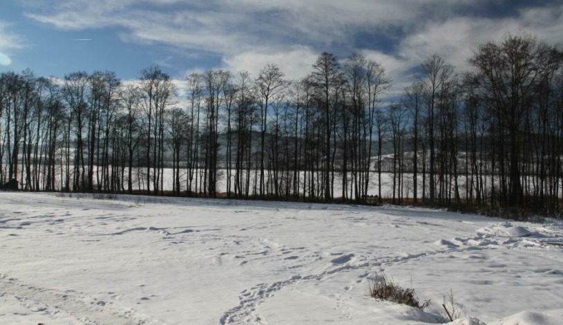 Resort Orsino Horní Planá